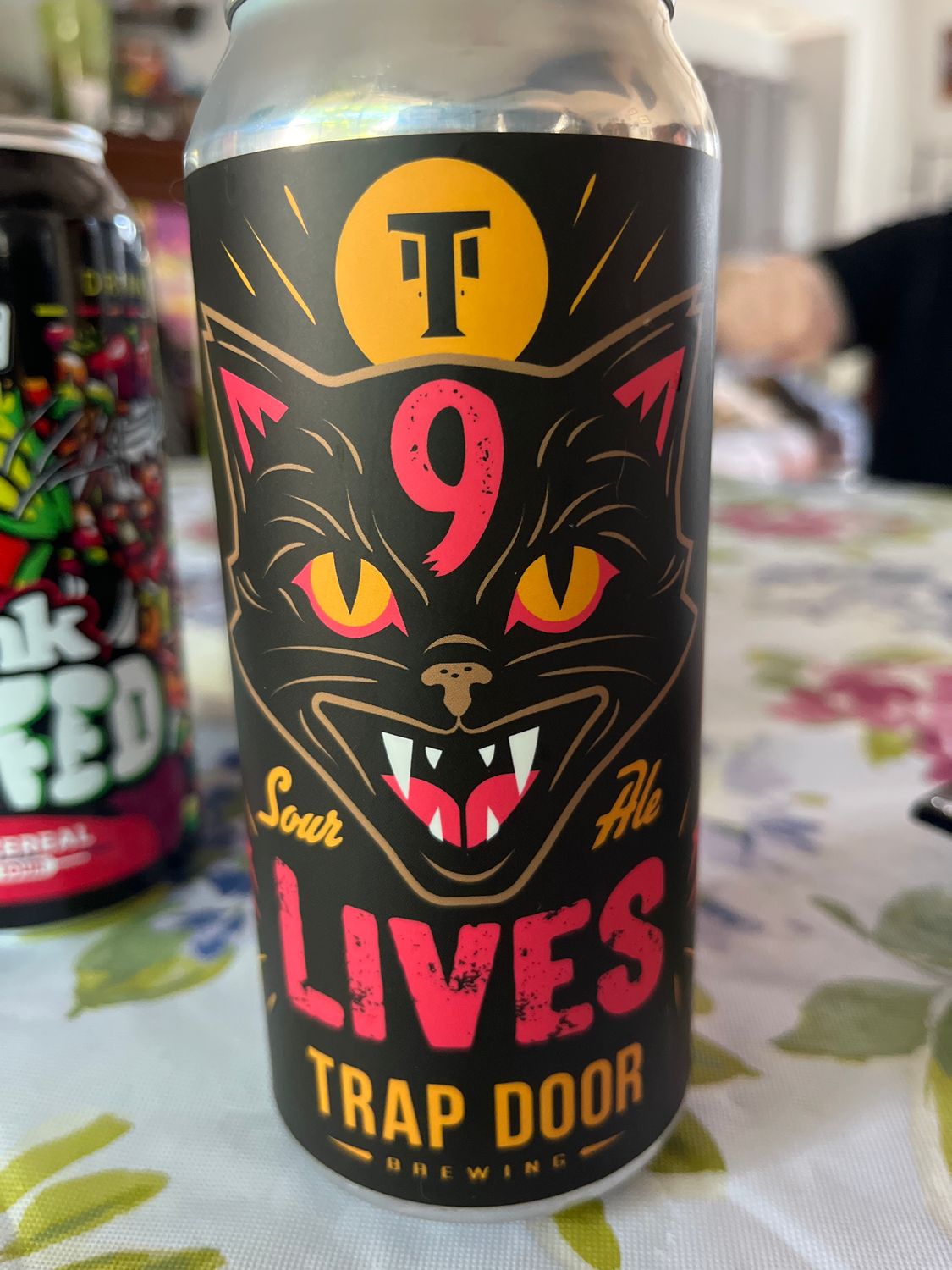 Trap Door 9 Lives Sour Ale 4pk cans single