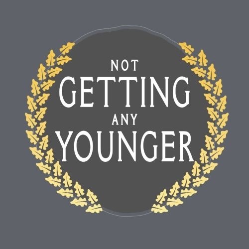 Vice Beer Not Getting Any Younger California triple IPA 4pk