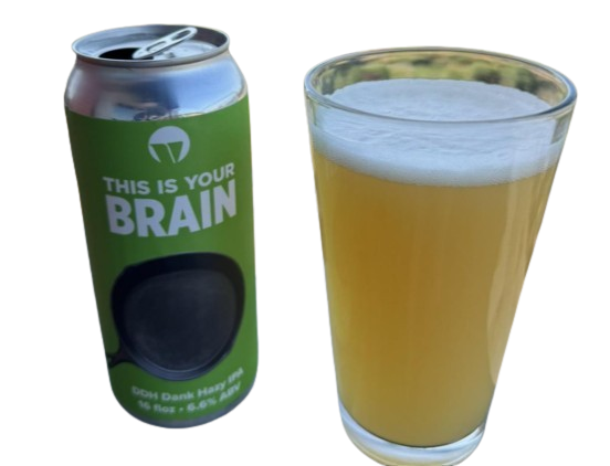 Vice Beer This Is Your Brain DDH Dank Hazy IPA 4pk cans single