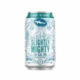 Dogfish Head Slightly Mighty Lo-Cal IPA 6pk Cans single