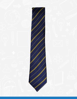 Belfast High School Tie - Watson