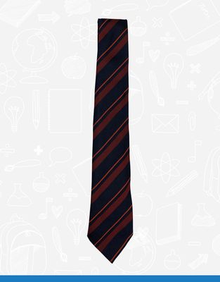 Belfast Royal Academy Tie - Pottinger