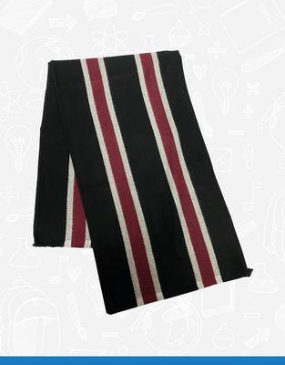 Ulidia Integrated College Scarf