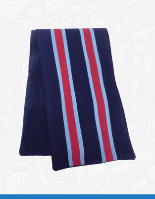 Belfast Royal Academy Scarf
