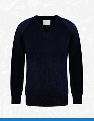 Navy V-Neck (4406)