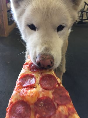 Nutrition