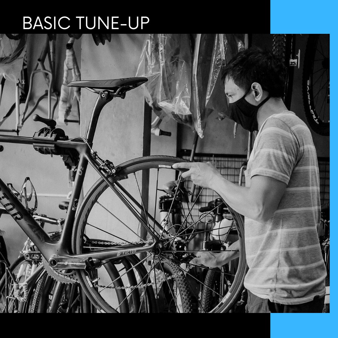 Tune Up - small