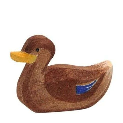 Duck Swimming