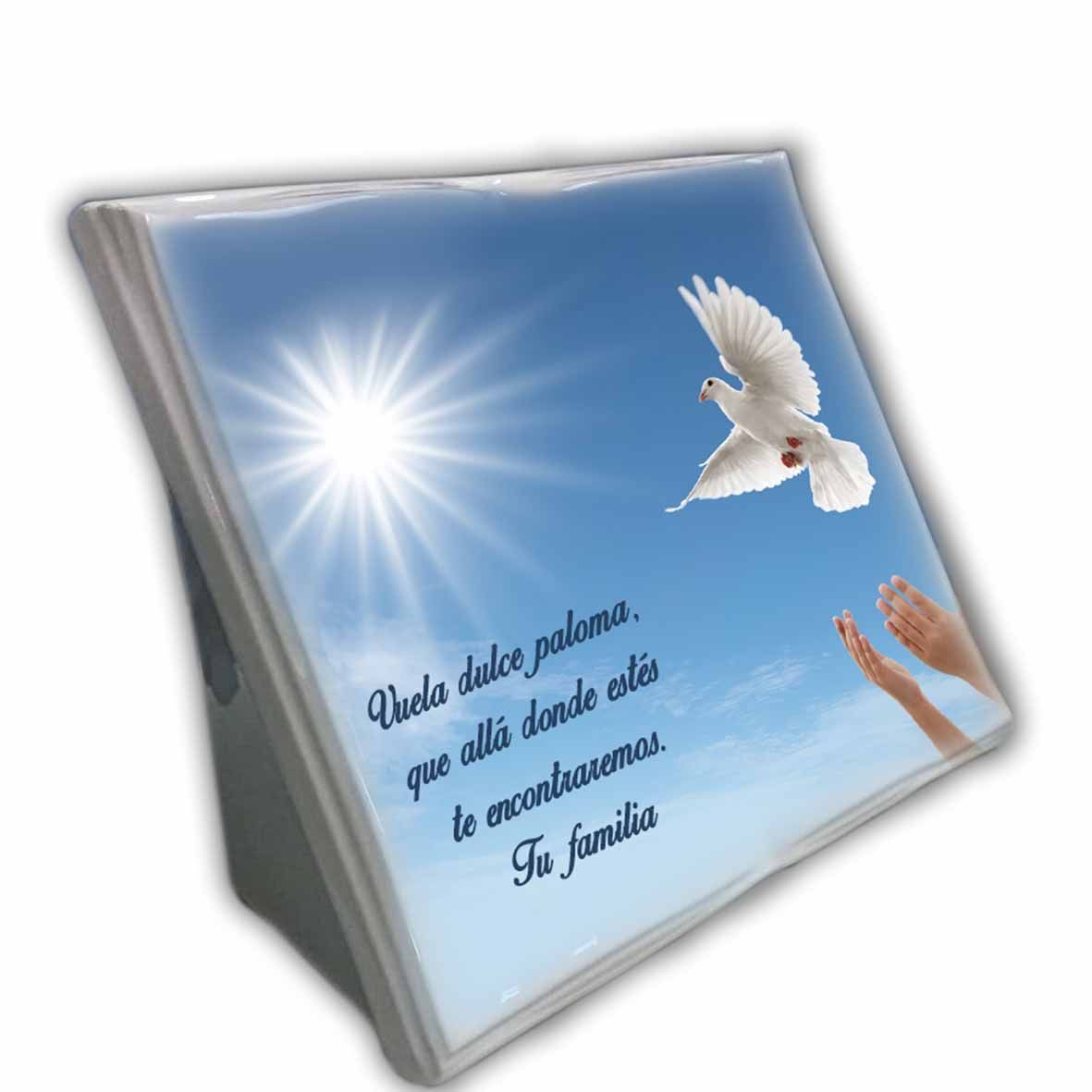 Libro con base Terreno
