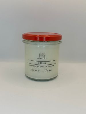 Świeca sojowa SOSNA