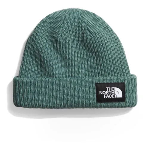 TNF Salty Dog Lined Beanie