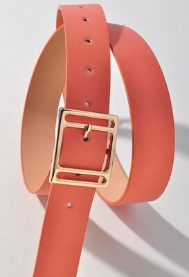 Fashion Buckle Belts