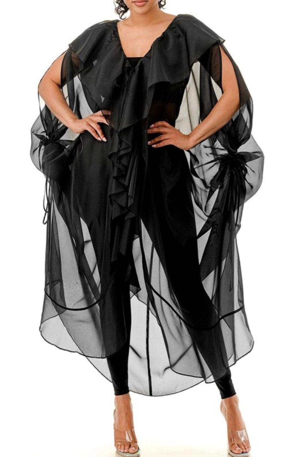 Sheer-N-Black Organza Dress