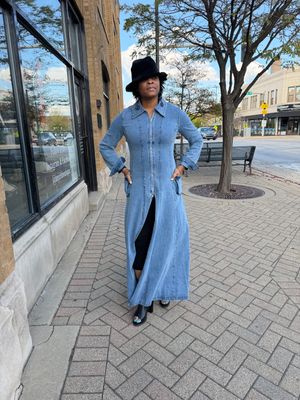 Steel Rose Denim Zip Coat Dress