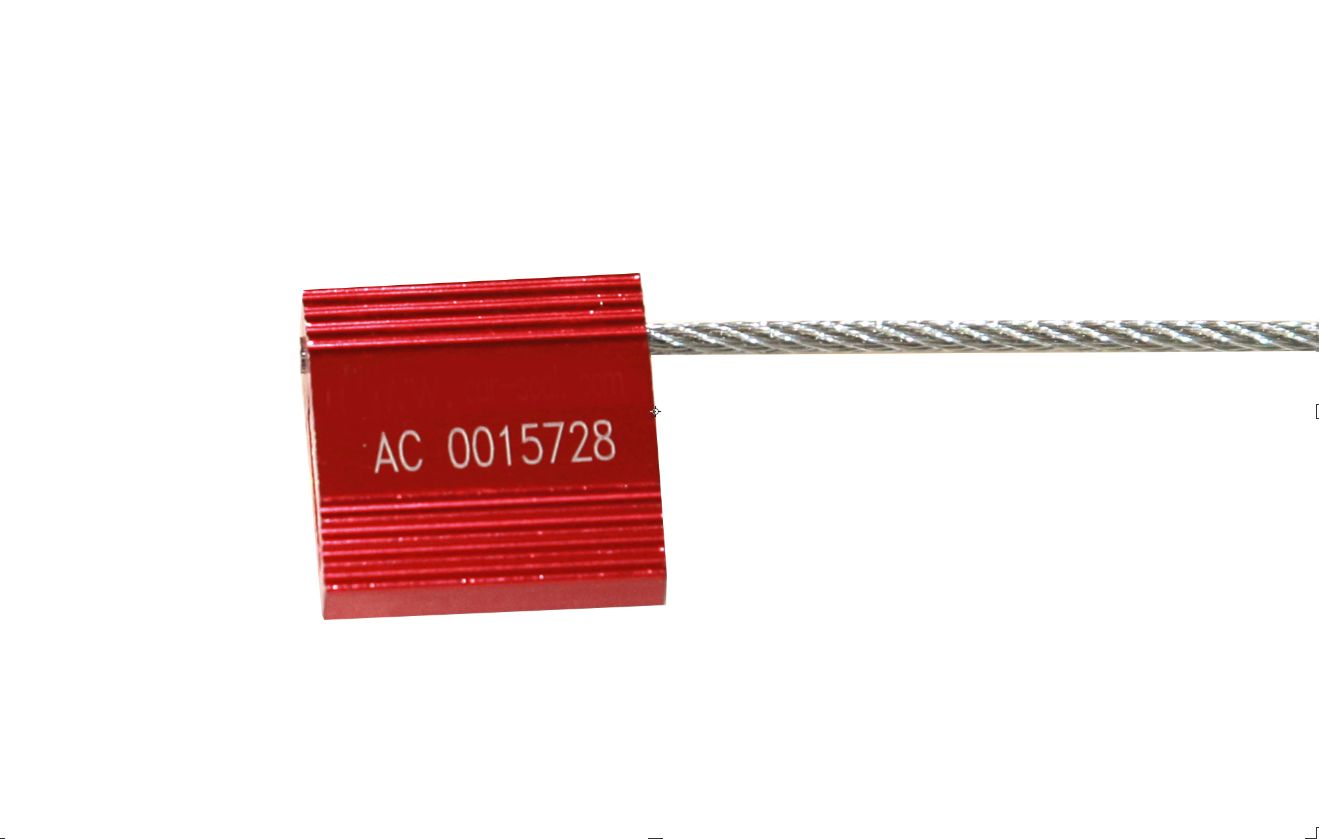 Pack of 10 Car Seals