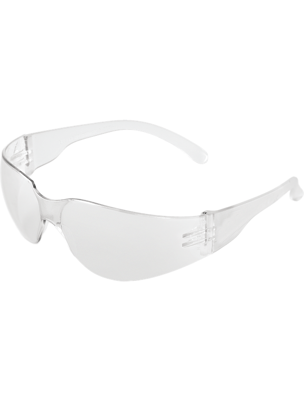 Torrent™ Clear Performance Fog Technology Lens, Frosted Clear Frame