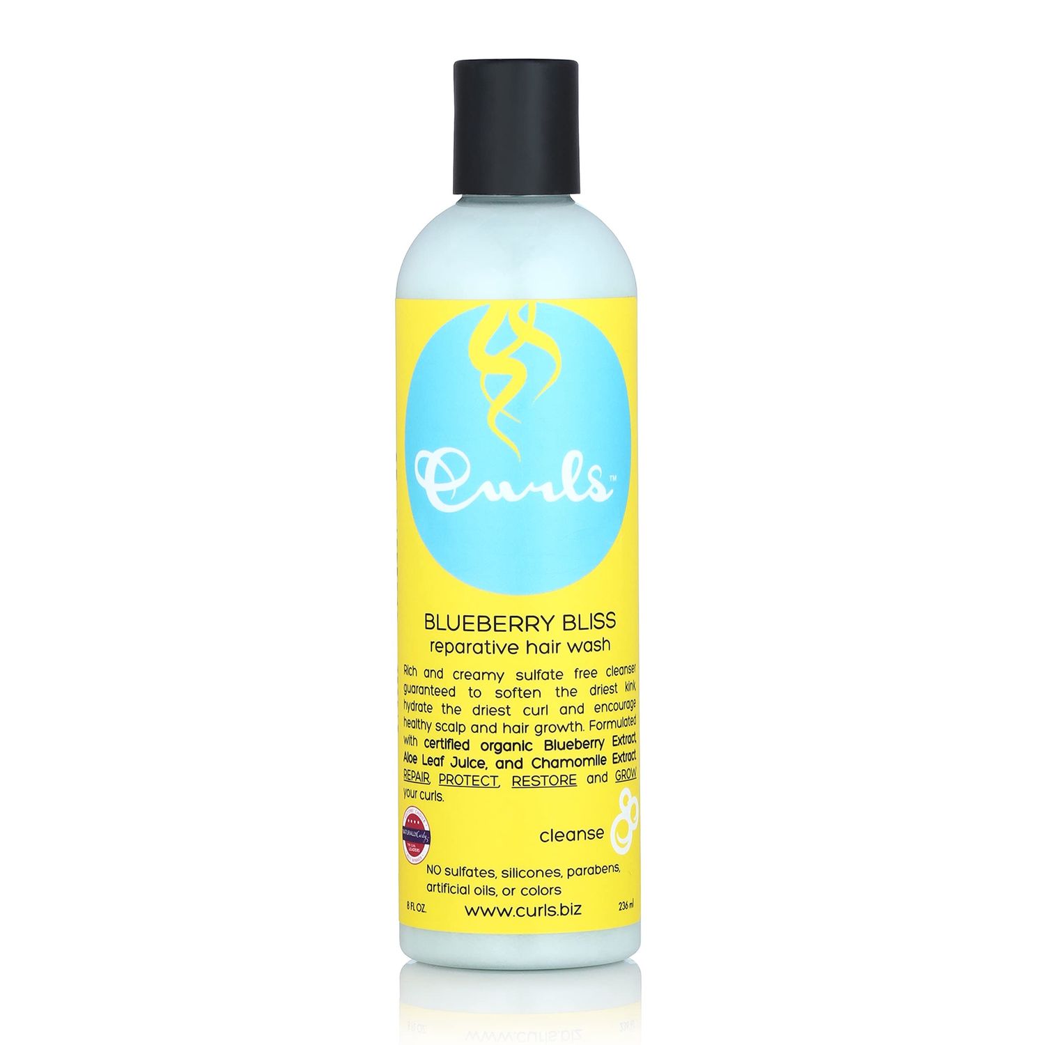 Curl Blueberry Bliss Reparative Hair Wash