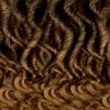 Freetress Braid - Water Wave 22", Color: T27, Size: 22"
