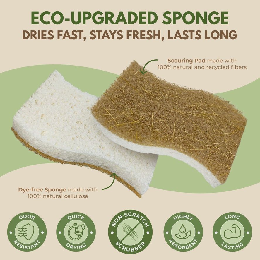 Sponge - coconut