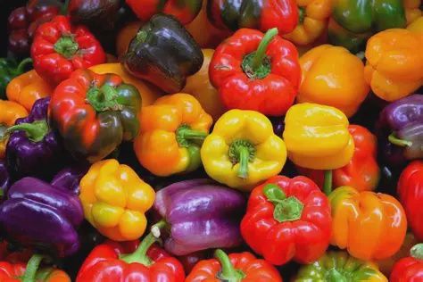 Organic Produce, Style: Bell Pepper