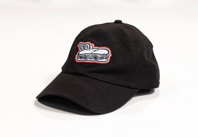 FLYING SANDWICH KIDS CAP