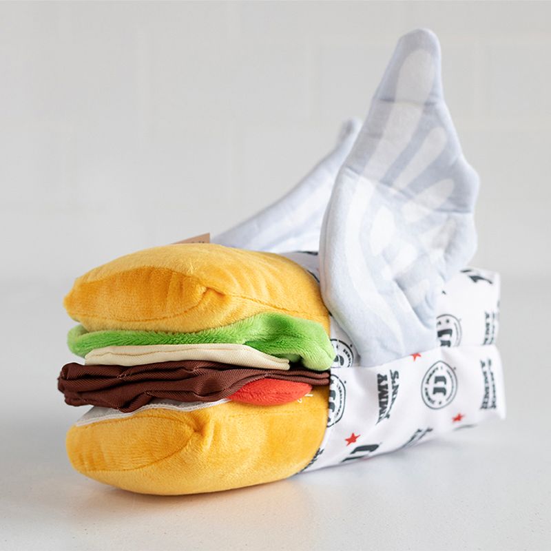 FLYING SANDWICH DOG TOY