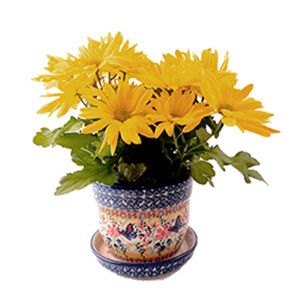 Flower Pots & Watering Cans