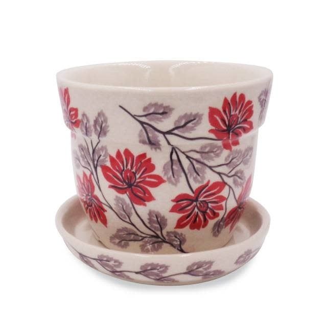 Silk Cotton Tree Flower Pot 14 Silk Cotton Tree Flower Pot 14