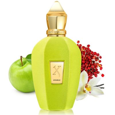 Xerjoff Amabile EDP (without box) 100ml