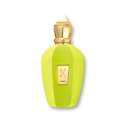 Xerjoff Amabile EDP (without box) 100ml