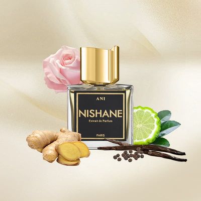 ANI Extrait de Parfum By Nishane 100ml (without box)