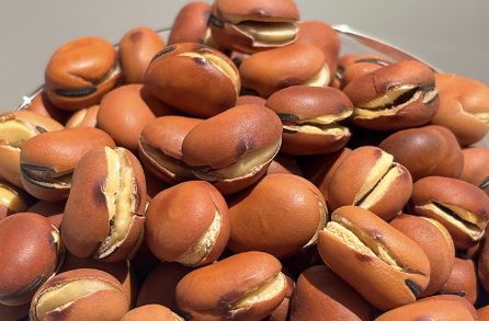 龙眼豆 1磅 Longan Bean