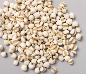 薏米 1磅 Chinese Barley/Coix Seed
