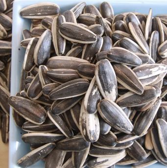 无盐瓜子 Unsalted Sunflower Seeds