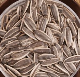 椰香瓜子 1磅 Coconut Sunflower Seeds
