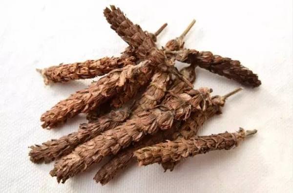 夏枯草   1磅