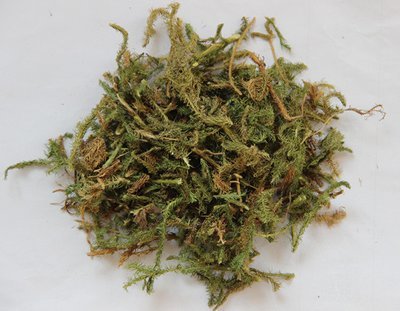 伸筋草 1磅
