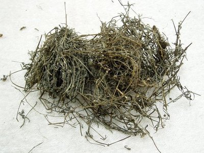 白花蛇舌草 1磅