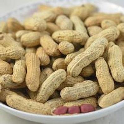 原味花生 1磅 Roasted Unflavored Peanuts