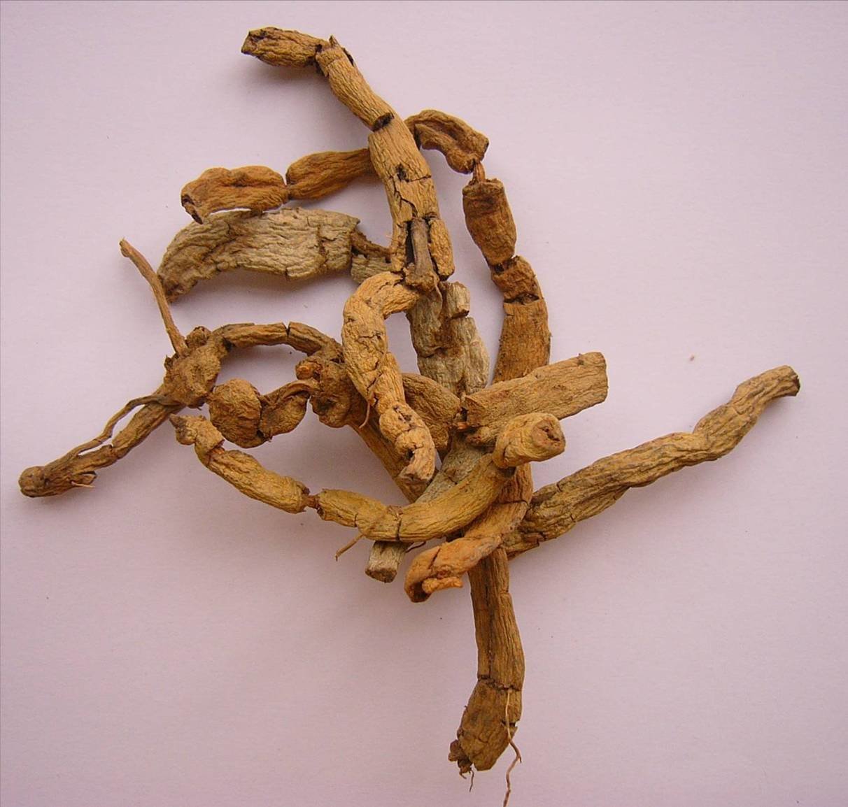 巴戟天 1磅