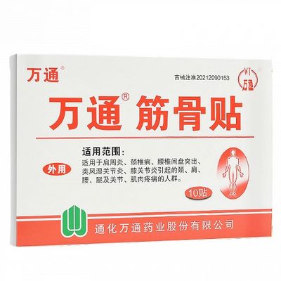 筋骨贴 (万通) 10贴 Pain Relief Plaster