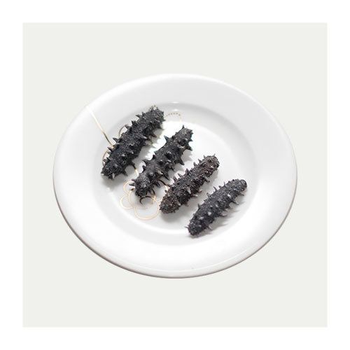 Premium Spiny Sea Cucumber Small 1 lb