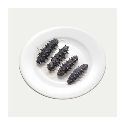Premium Spiny Sea Cucumber Small 1 lb