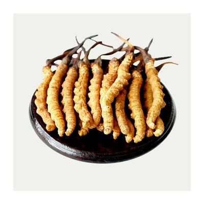 精选顶级西藏冬虫夏草 1安 约140条