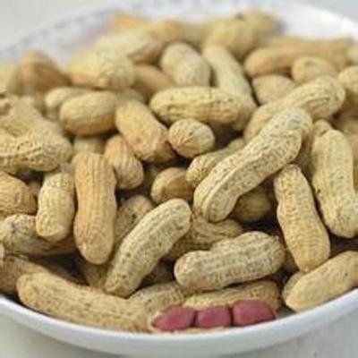 Roasted Unflavored Peanuts 1 lb