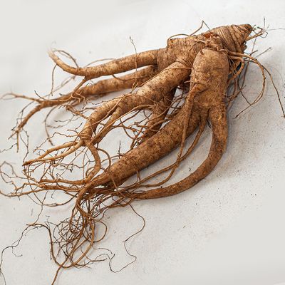 Fresh American Ginseng 1lb