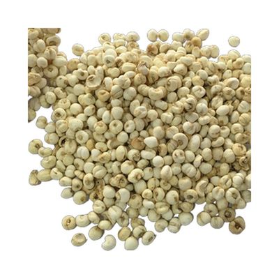 川贝母 野生 1磅