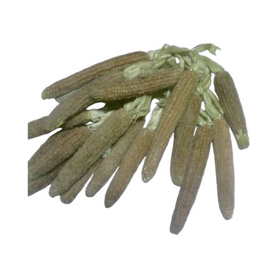 玉米芯 1磅