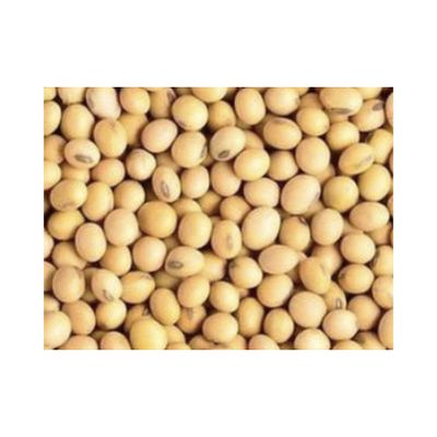 黄豆 1磅