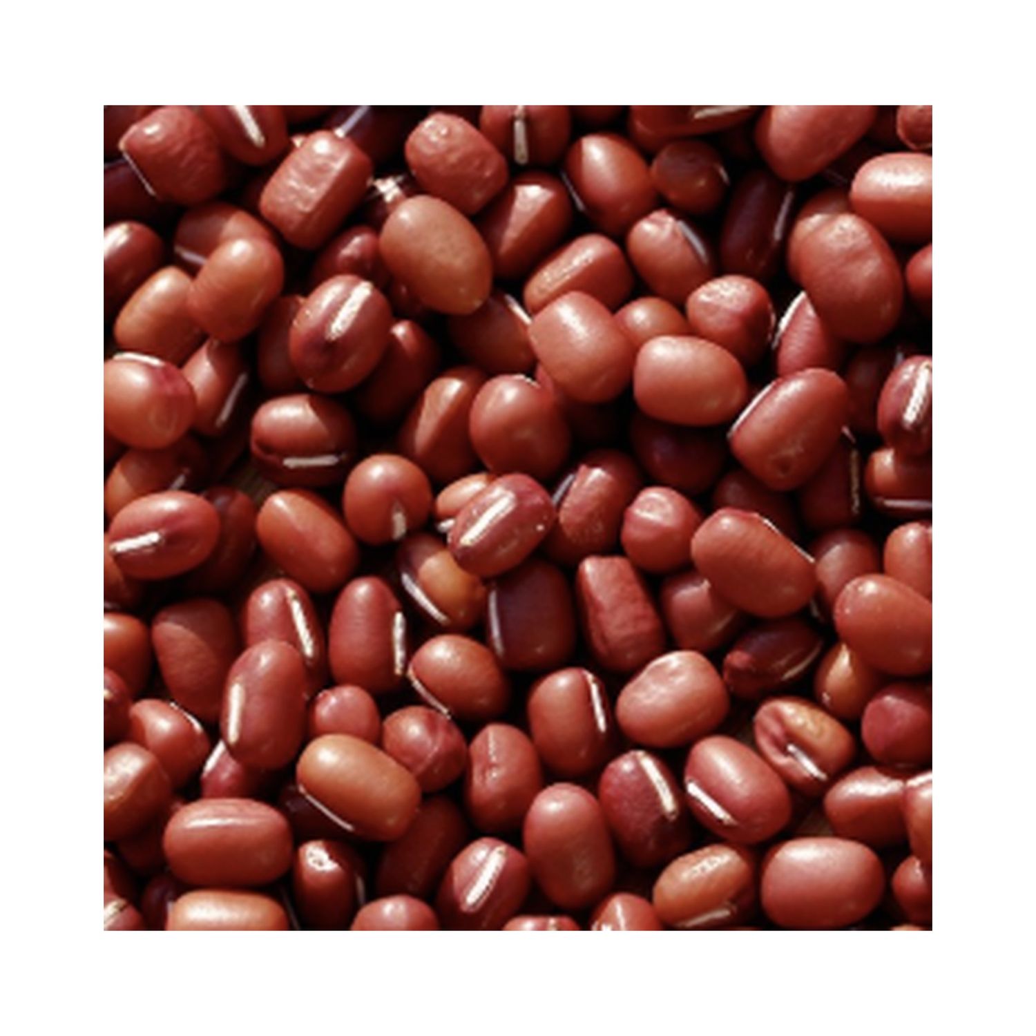 红豆 1磅
